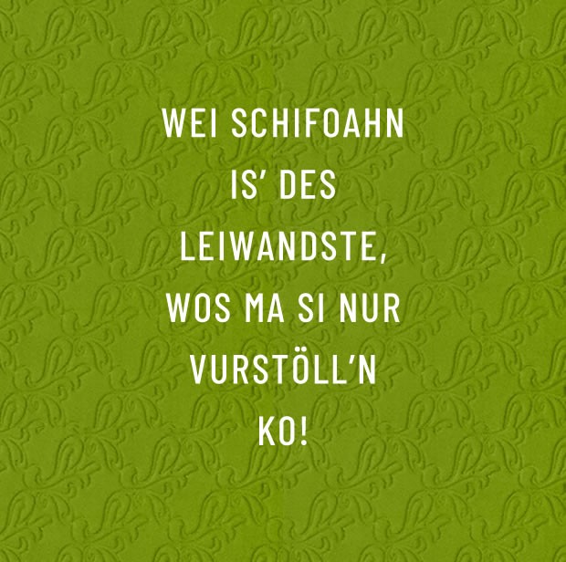 Skifoahn is e leiwandste - Songtext von Wolfgang Ambros