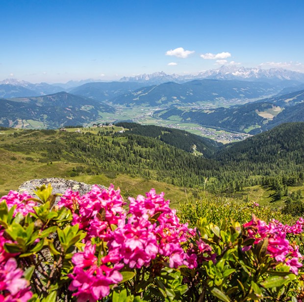 Berglandschaft © Flachau Tourismus