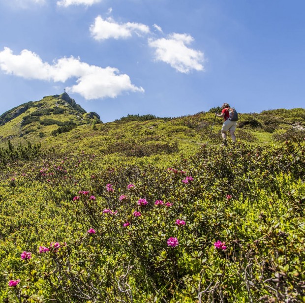Blühende Landschaft vor Grießenkareck © Christian Fischbacher